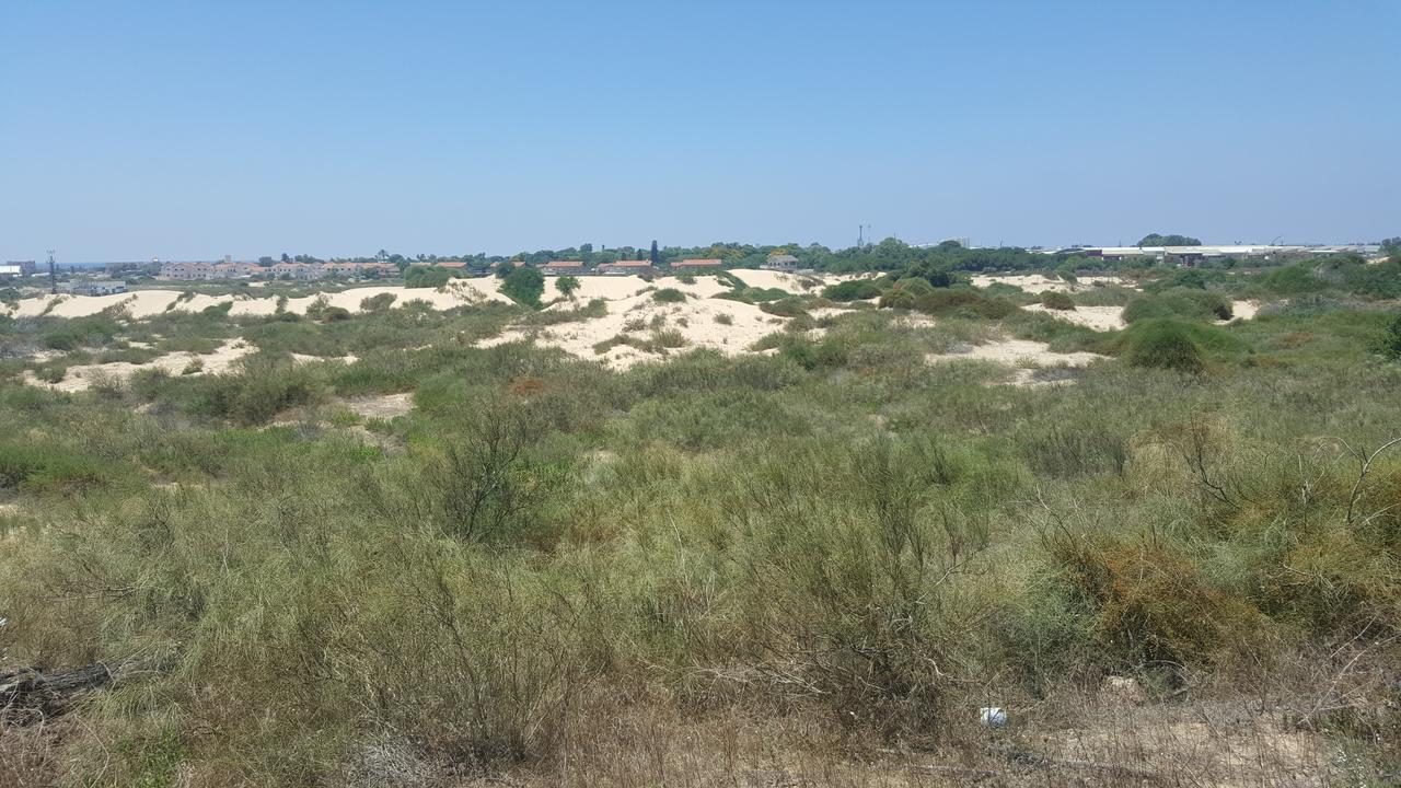 Neot Golf Caesarea Garden Apartment Extérieur photo